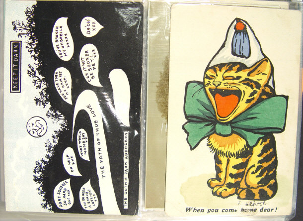 Appraisal: Album of topographical and comical postcards including a Louis Wain