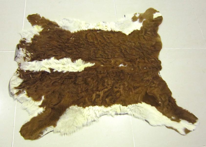 Appraisal: A SMALL BROWN AND WHITE COW HIDE RUG A SMALL