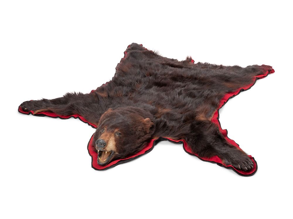 Appraisal: A Taxidermy Brown Bear Rug A Taxidermy Brown Bear Rug