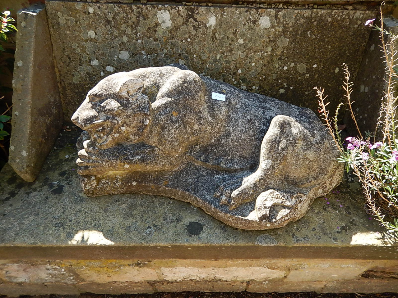 Appraisal: A reconstituted stone garden ornament of a recumbent lion cm