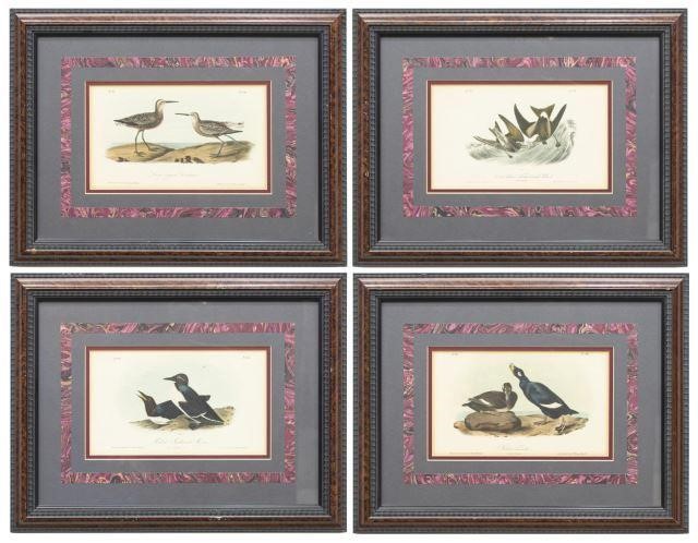 Appraisal: lot of Framed lithographs on paper from The Birds of