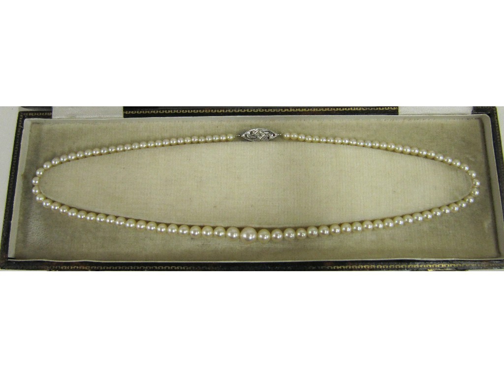 Appraisal: String of cultured pearls with white gold diamond set clasp