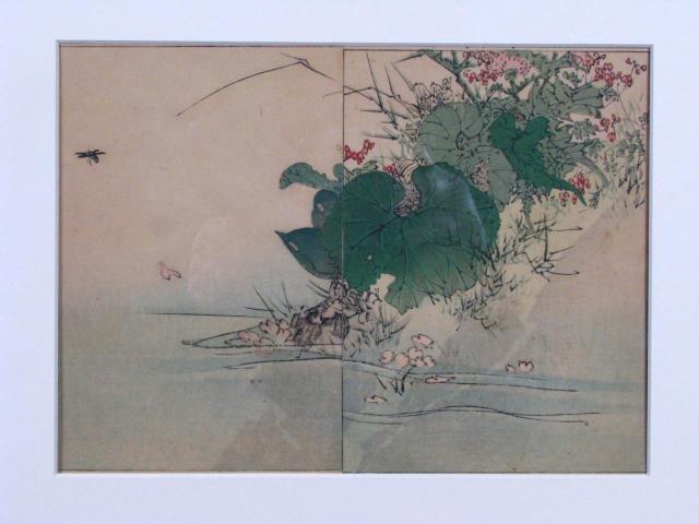 Appraisal: Unidentified Artist Japanese Dragon Fly and Falling Blossoms Color woodcut