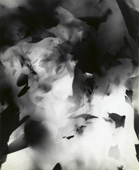 Appraisal: SIEGEL ARTHUR - Select group of photograms Silver prints x