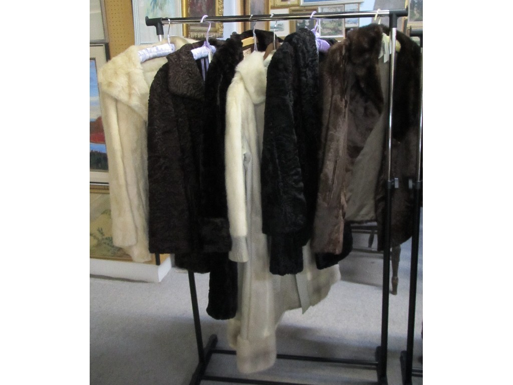 Appraisal: Six assorted fur jackets and coats