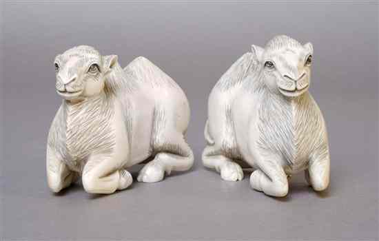 Appraisal: A Pair of Carved Elephant Ivory Camels depicted in a