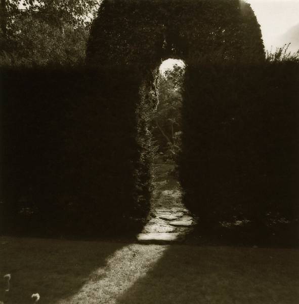 Appraisal: Lynn Geesaman American born Levens Hall Cumbria England Arched Hedge