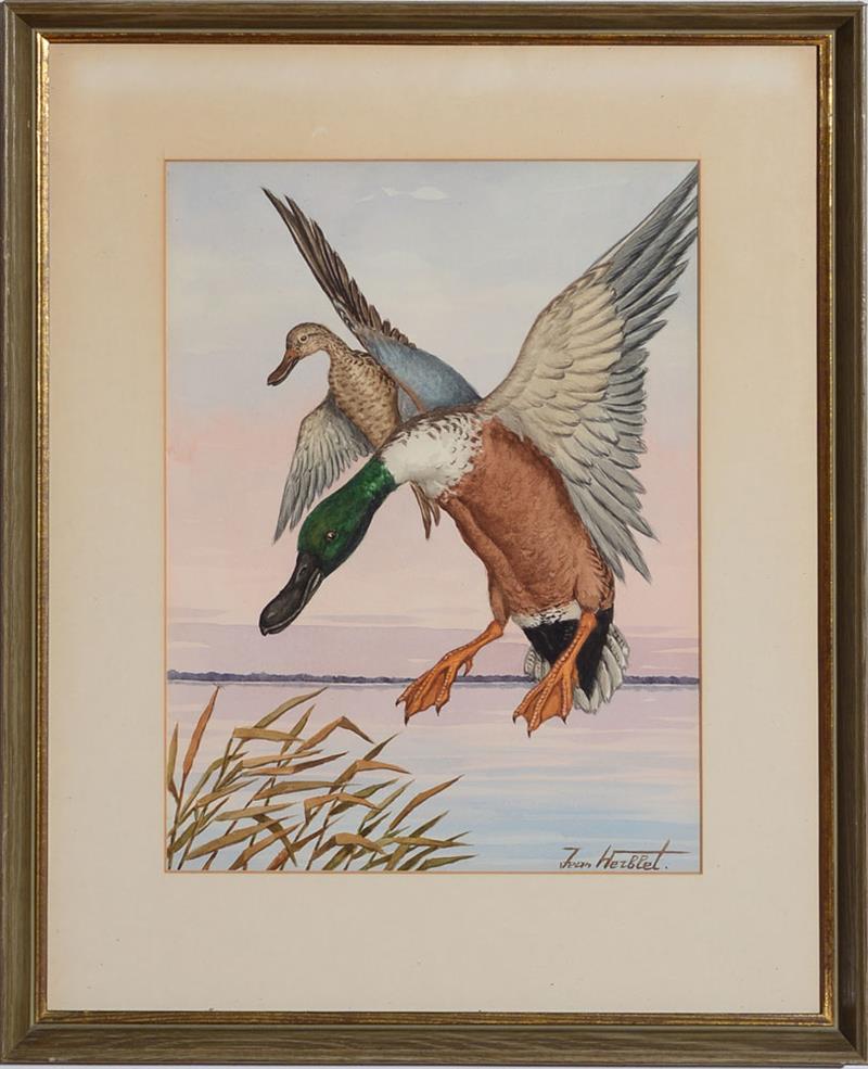 Appraisal: JEAN HERBLET - DUCKS IN FLIGHT Four watercolors on paper