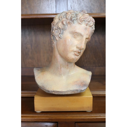 Appraisal: Terracotta bust of a young Greek male approx cm H