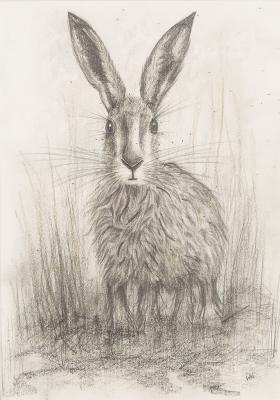 Appraisal: W W Scottish Contemporary Hare Standing signed with initials pencil