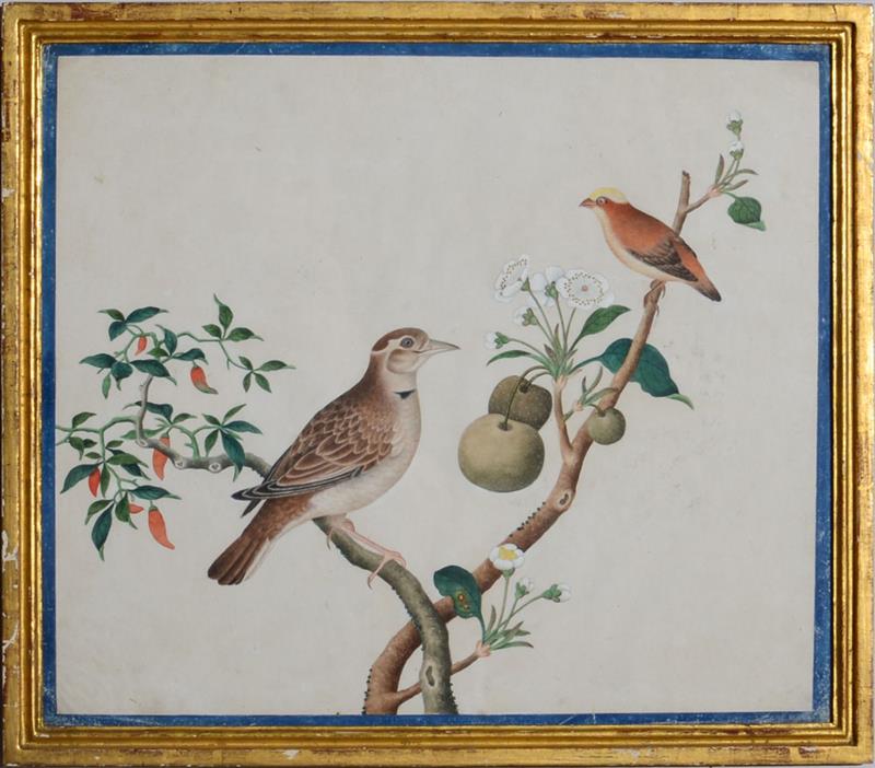 Appraisal: CHINESE SCHOOL TWO BIRDS ON A BRANCH Watercolor on pith