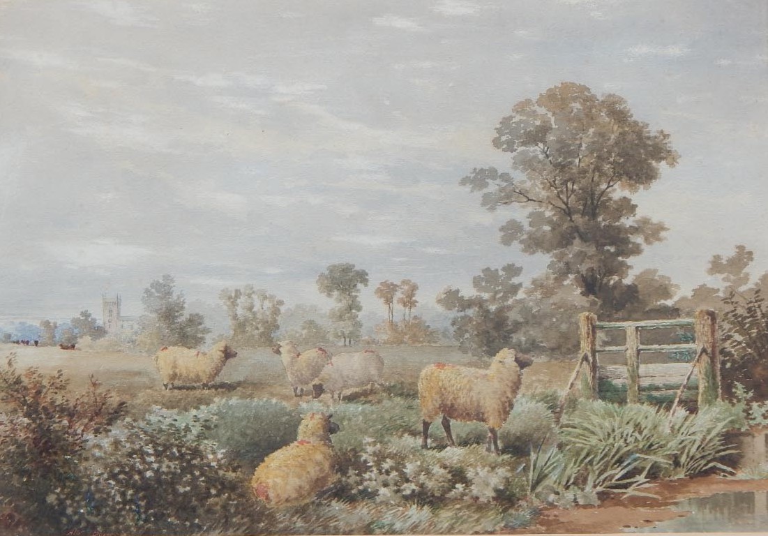 Appraisal: Albert Edward Bowers thC Country landscape with sheep watercolour signed