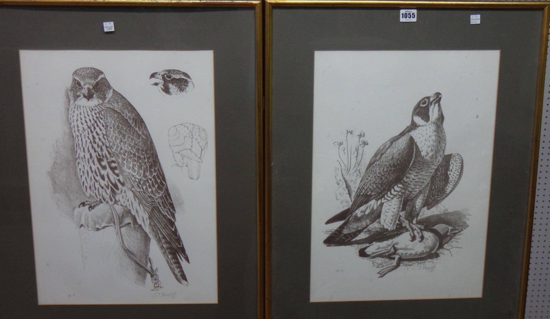 Appraisal: Charles Frederick Tunnicliffe - Hawks Falcons ten lithographs all signed