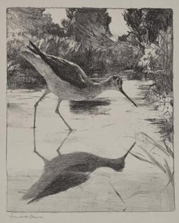 Appraisal: Frank W Benson - Yellowlegs signed Frank W Benson lower