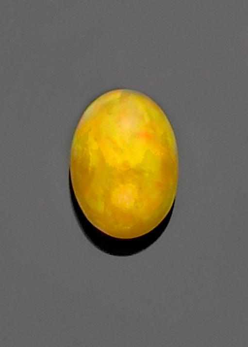 Appraisal: Property of a Mid-West Opal Collector Vivid Orange Crystal Opal