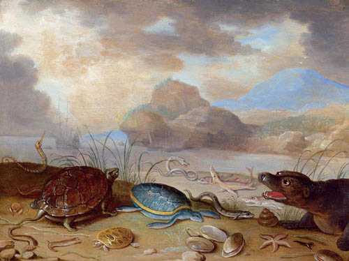 Appraisal: KESSEL FERDINAND VAN Antwerp - Breda Marine life on the