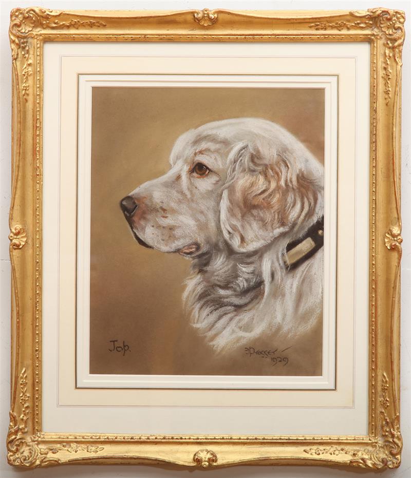 Appraisal: FRANK PROSSER CUMBER SPANIEL JOP Pastel on brown paper signed