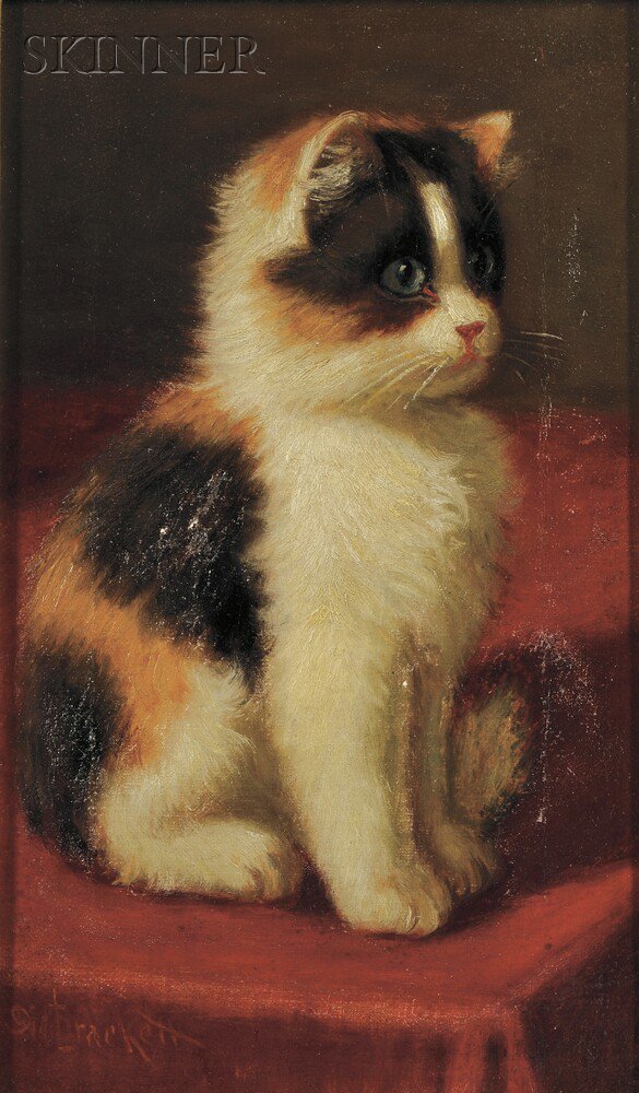 Appraisal: Sidney Lawrence Brackett American - Calico Kitten Signed Sid Brackett