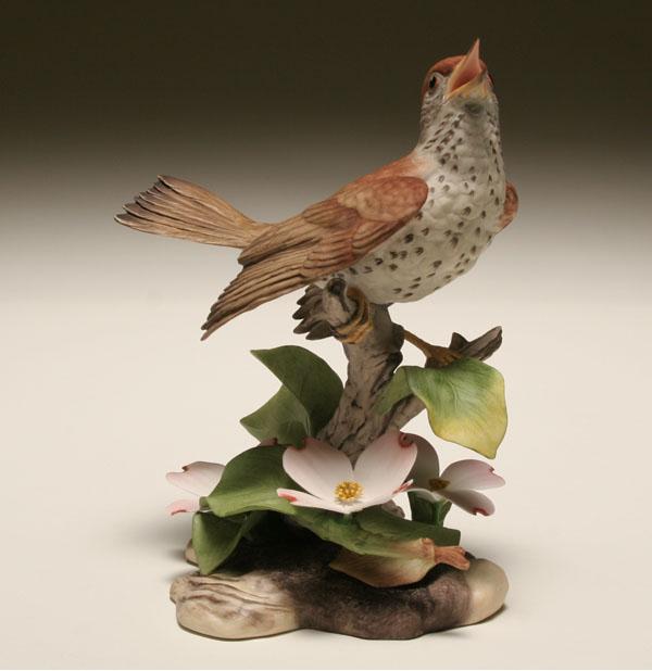 Appraisal: Boehm hand painted porcelain wood thrush perched on naturalist branch