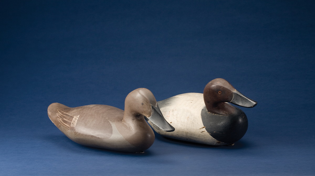 Appraisal: PAIR OF CARVED AND PAINTED CANVASBACK DECOYS FROM THE CHESAPEAKE