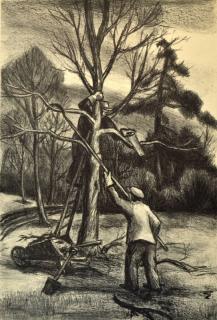 Appraisal: Leonard Pytlak lithograph Leonard Pytlak American - - ''Pruning''- lithograph