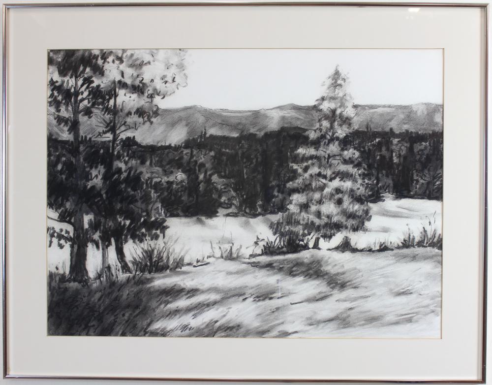 Appraisal: MADELEINE LIEPE Oregon Switzerland th century charcoal on paper landscape