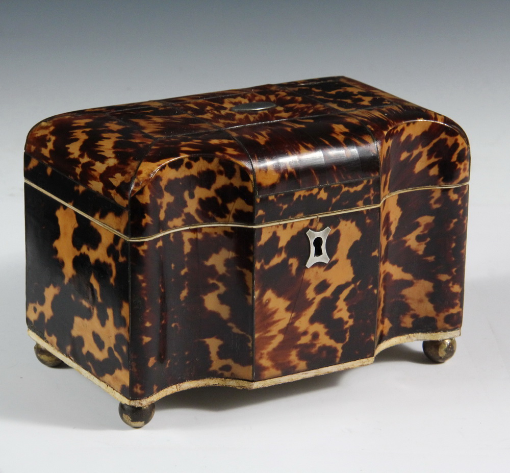 Appraisal: TEA CADDY - Georgian English Tortoiseshell Tea Caddy with shaped