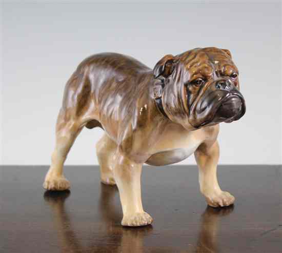 Appraisal: A rare Doulton figure of a standing Bulldog model no