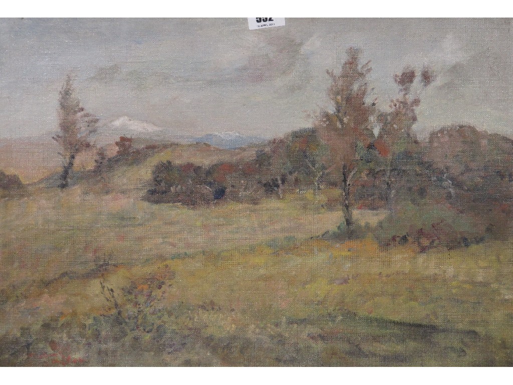 Appraisal: Oil on board landscape indistinctly signed lower left