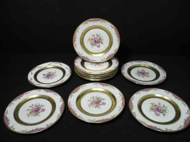 Appraisal: Set of eleven Rosenthal porcelain plates ''Queens Rose'' floral and