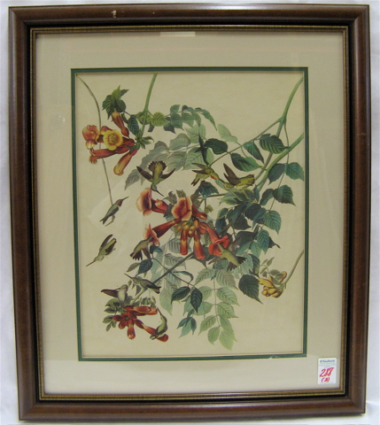 Appraisal: THREE OFF SET COLOR LITHOGRAPHS hummingbirds in fuchsia doves in