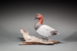 Appraisal: Standing Canvasback Drake Alfred Olson - Balsam Lake WI A