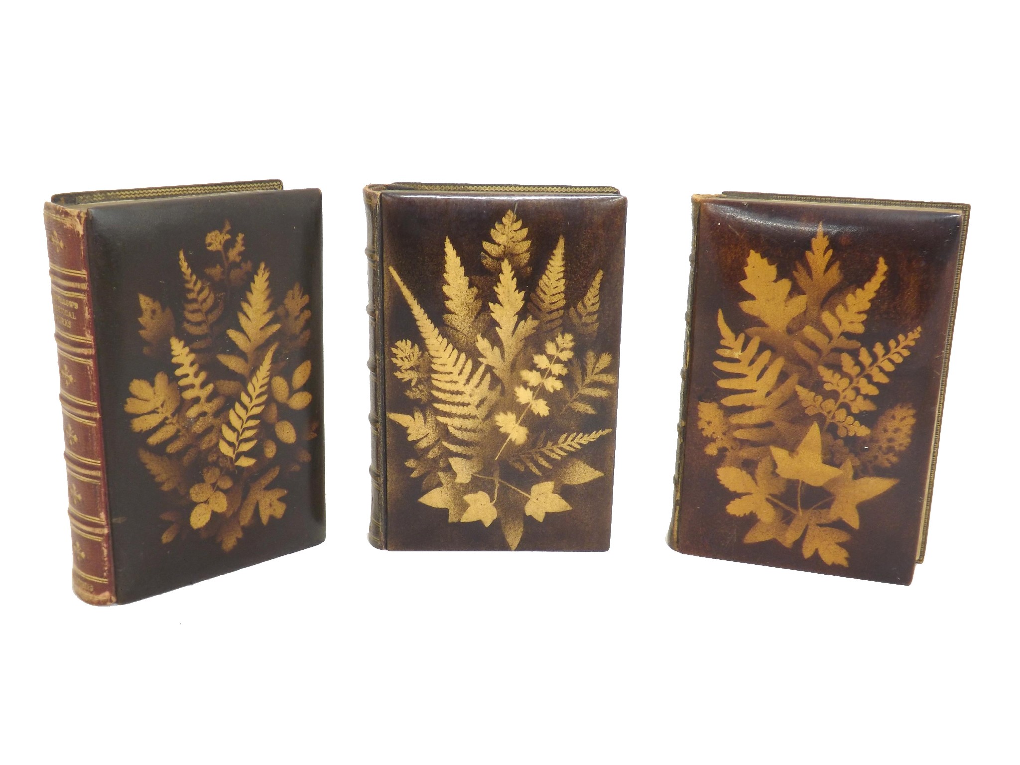 Appraisal: Fern ware books - The Poetical Works of H W