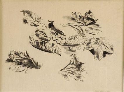 Appraisal: PETER BLUME - LEAF STUDIES Lithograph on paper x in