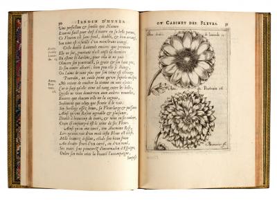 Appraisal: Franeau Jean Jardin D'Hyver ou Cabinet des Fleurs Douai to