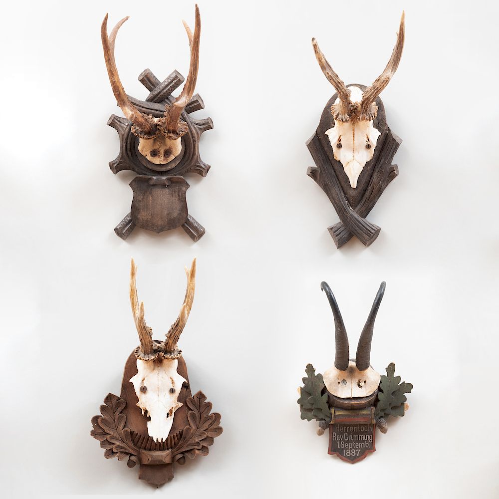 Appraisal: Group of Four Deer Trophies On wood mounts x x