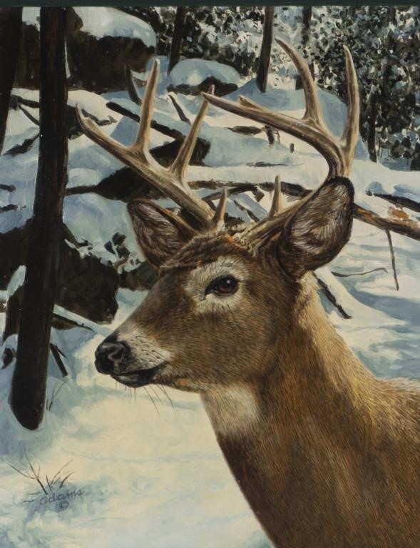 Appraisal: Deer signed Adams lower left oil on board by in