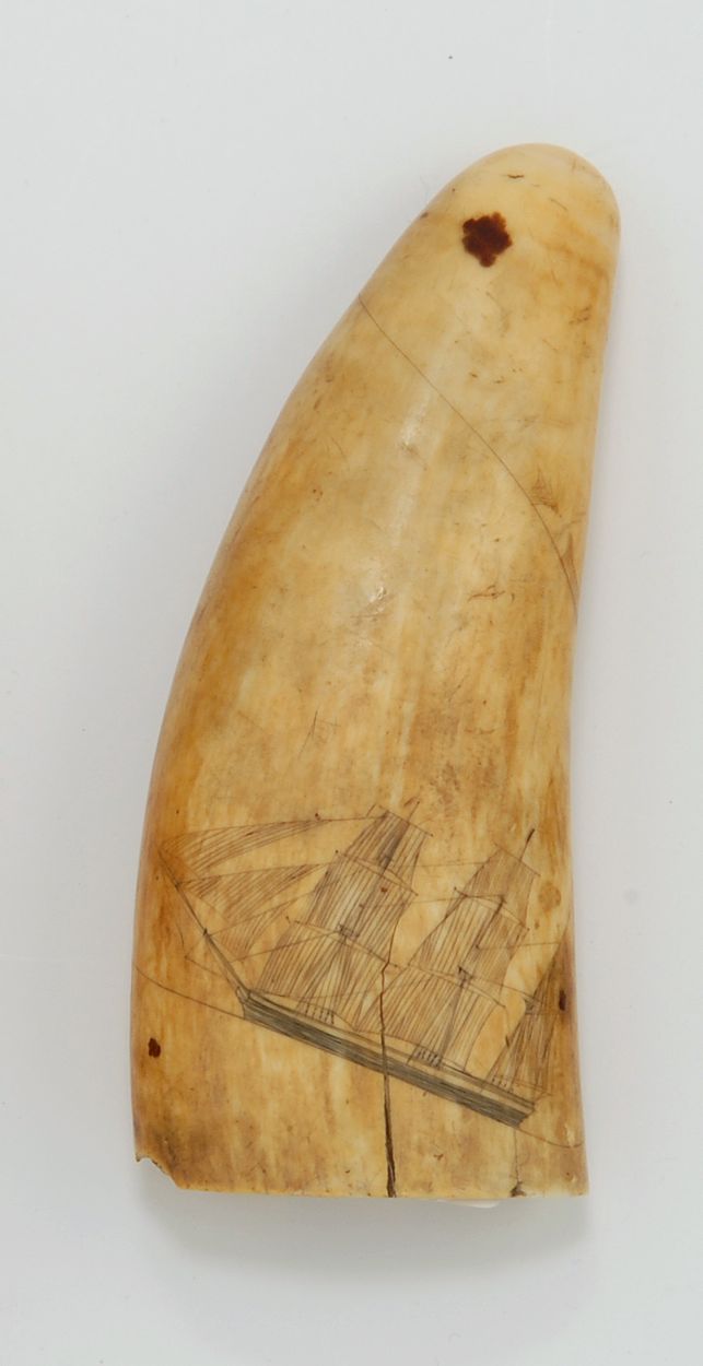 Appraisal: SPERM WHALE'S TOOTH th CenturyDepicting a bark with extended waterline