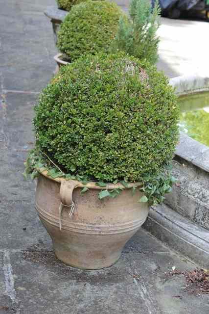 Appraisal: A SET OF FOUR TERRACOTTA PLANTERS each with three lug