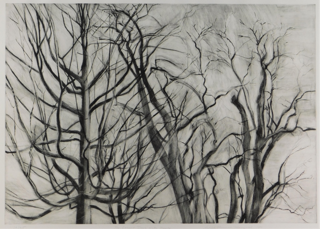 Appraisal: SILVIA PLIMACK MANGOLD LOWEST TREES MAPLE ETCHING New York b