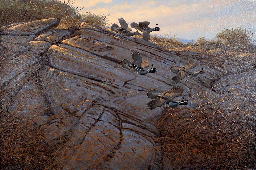 Appraisal: Jim Morgan Untitled California Quail Morgan Jim b Untitled California