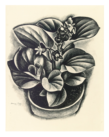 Appraisal: HOWARD COOK Begonia Dry brush and black ink on cream