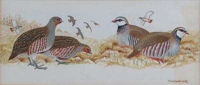 Appraisal: Martin W Woodcock th Century English Grey and Red-legged Partridge