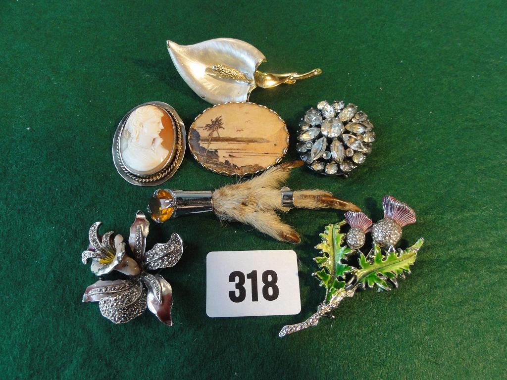 Appraisal: A collection of twenty assorted brooches including four cameo brooches