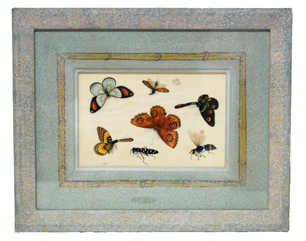 Appraisal: Chinese School circa butterflies and insects a set of six