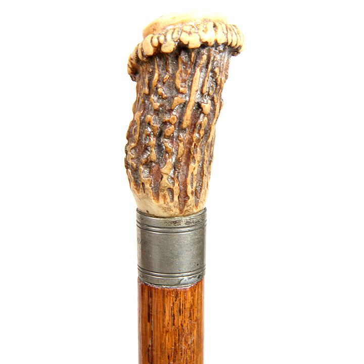 Appraisal: Independence Hall Relic Cane Ca - A stag antler handle