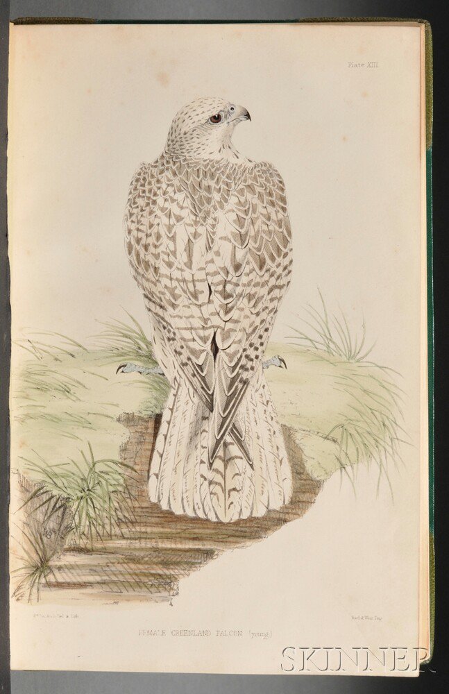 Appraisal: Salvin Francis Henry b and William Brodrick - Falconry in