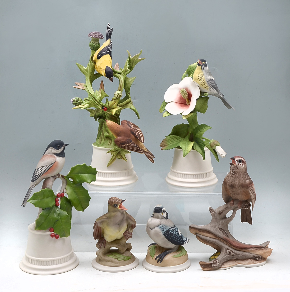 Appraisal: PC BOEHM BIRD COLLECTION Comprising - Baby Blue Jay -