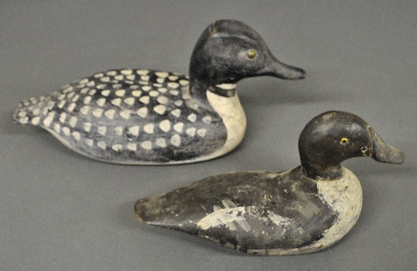 Appraisal: - Unusual loon decoy l and a bufflehead decoy -