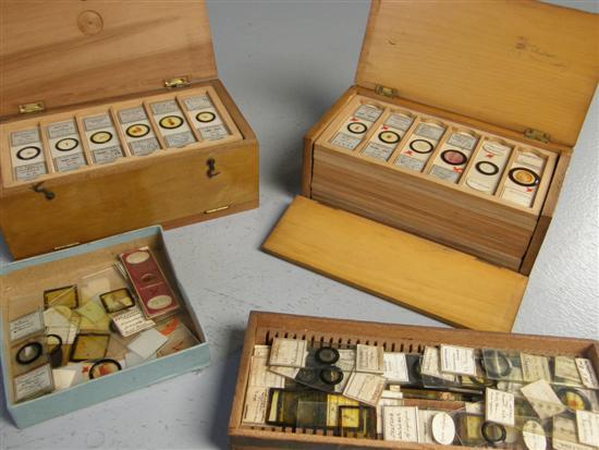 Appraisal: Four boxes of microscope slides